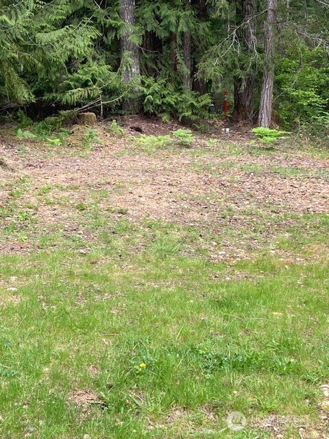 201 N Duckabush Drive E, Hoodsport, WA 98548