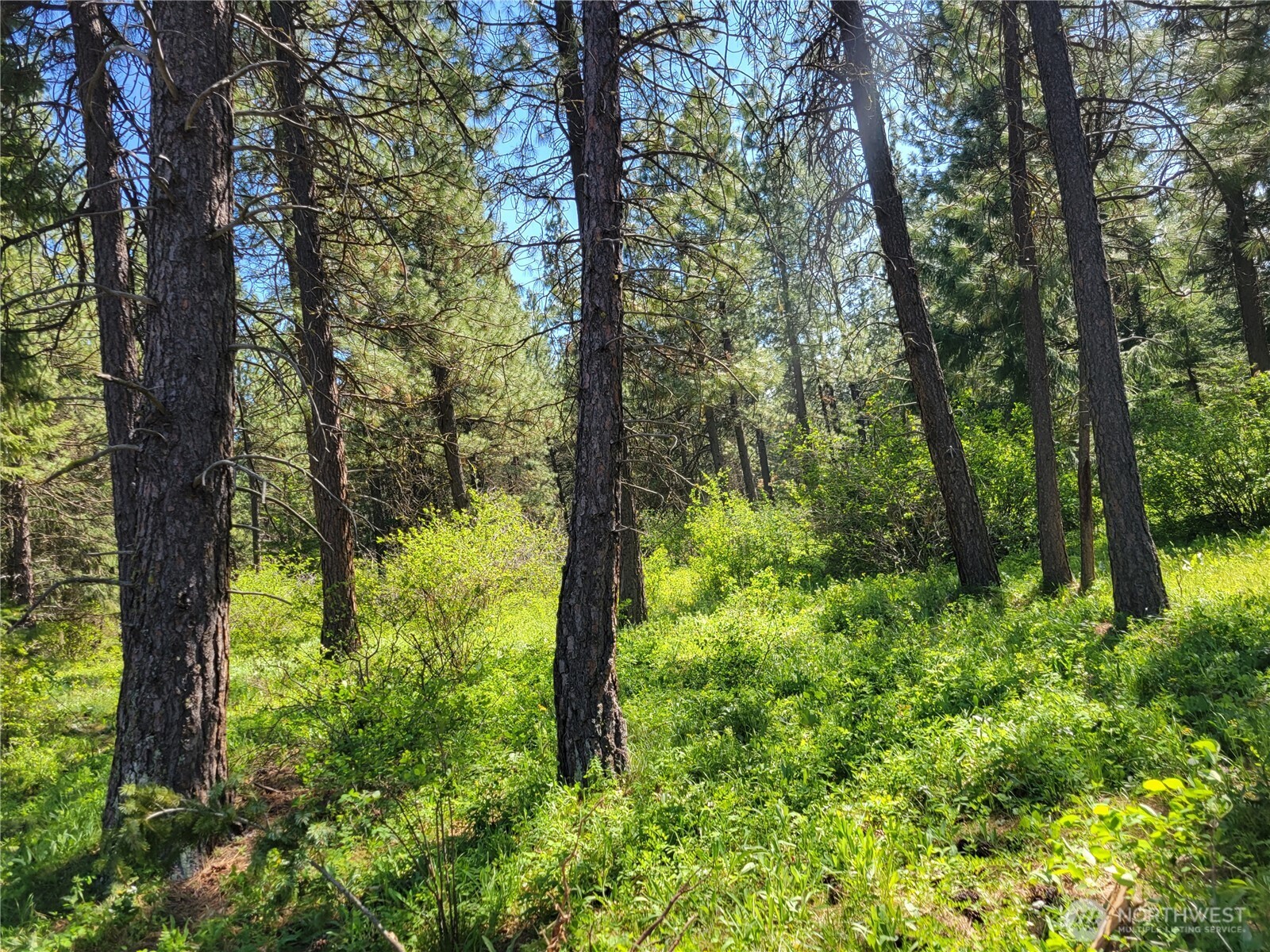 27 Summit View at Wallace Ranch , Cle Elum, WA 98922