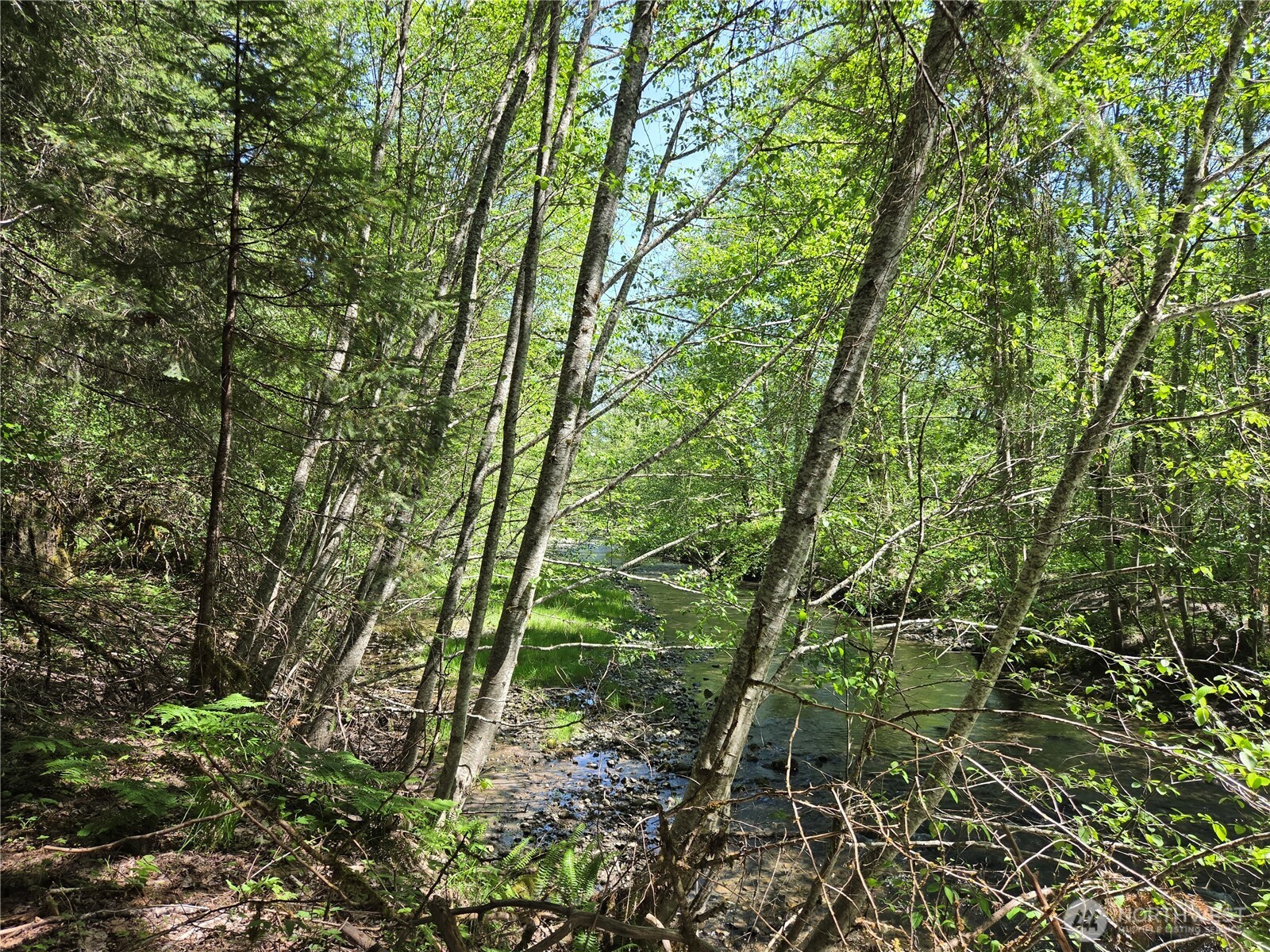 123 Campfire Lane , Packwood, WA 98361