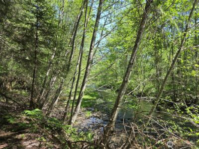 123 Campfire Lane , Packwood, WA 98361 - Photo 12