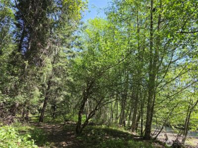 123 Campfire Lane , Packwood, WA 98361 - Photo 13