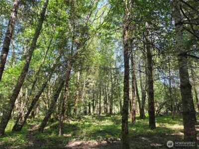 123 Campfire Lane , Packwood, WA 98361 - Photo 14