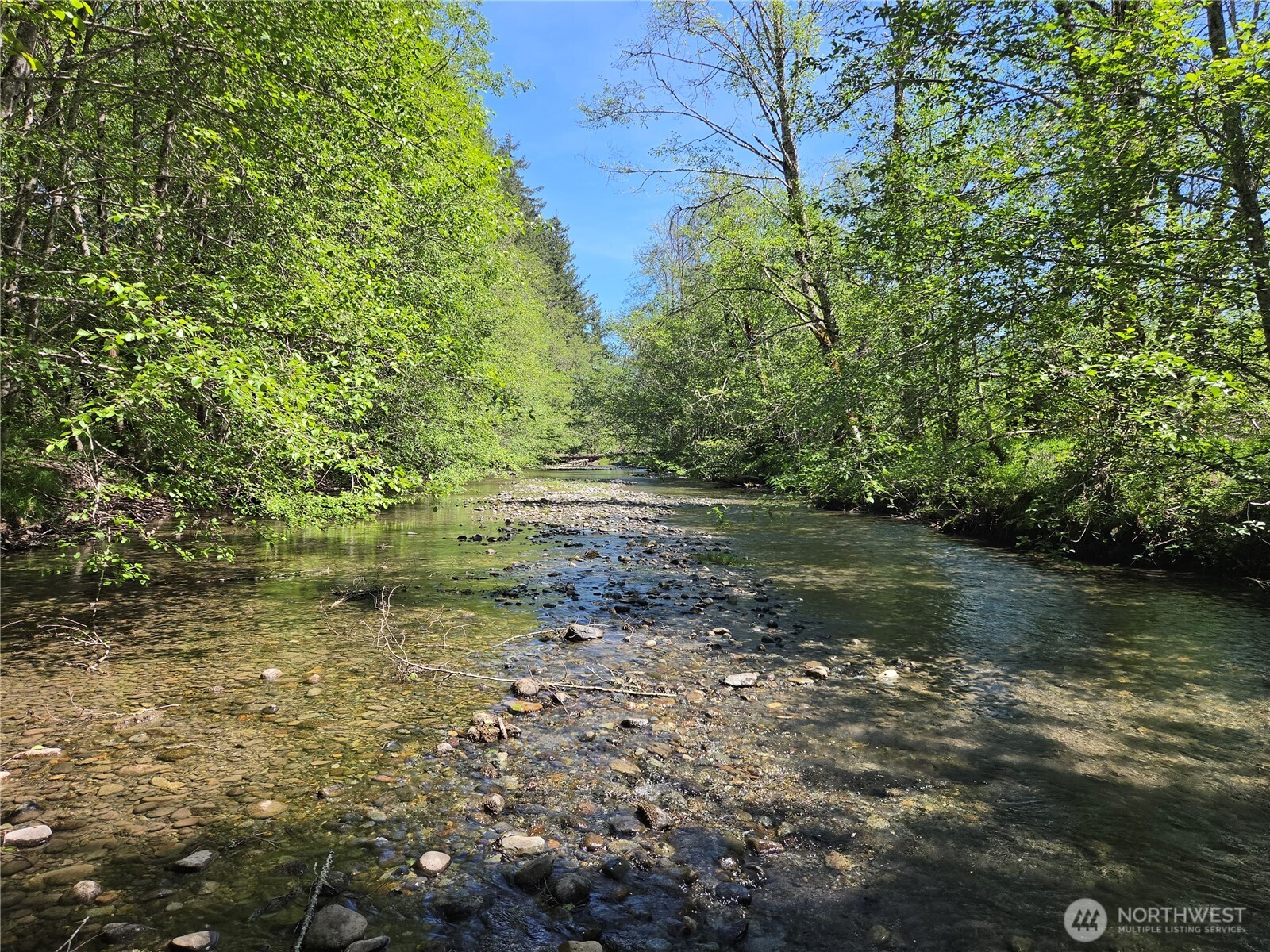 123 Campfire Lane , Packwood, WA 98361