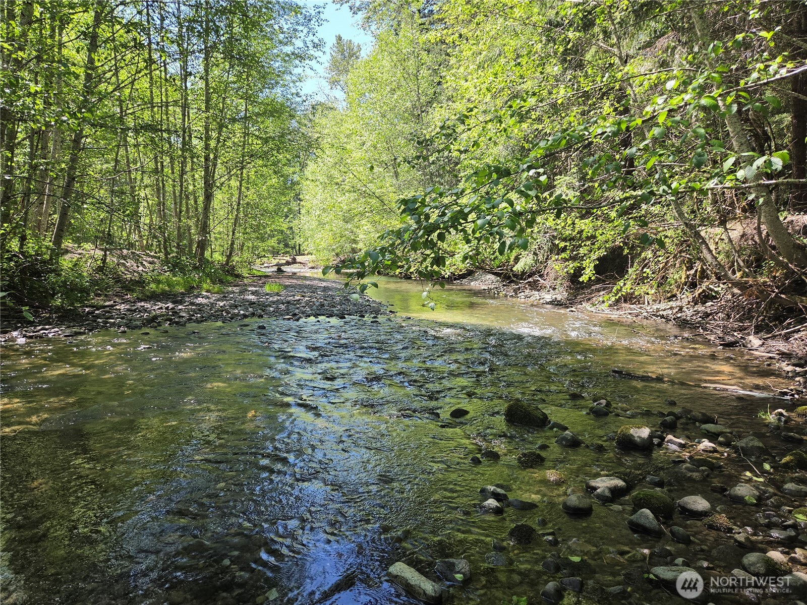 123 Campfire Lane , Packwood, WA 98361