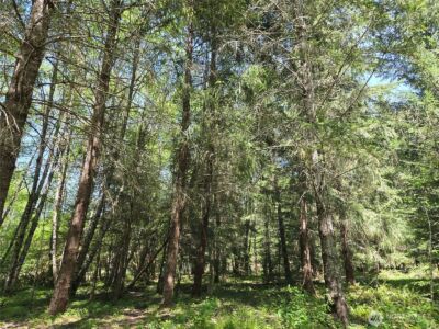 123 Campfire Lane , Packwood, WA 98361 - Photo 17