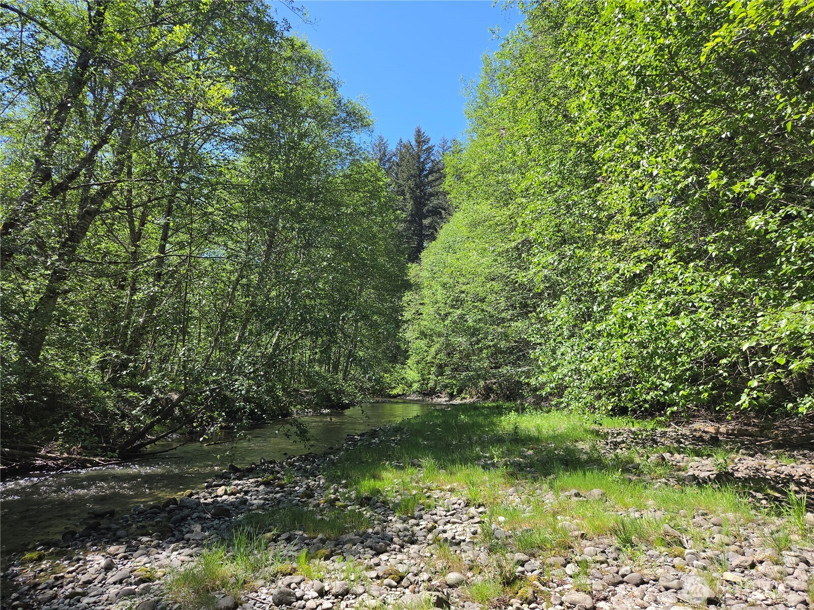 123 Campfire Lane , Packwood, WA 98361