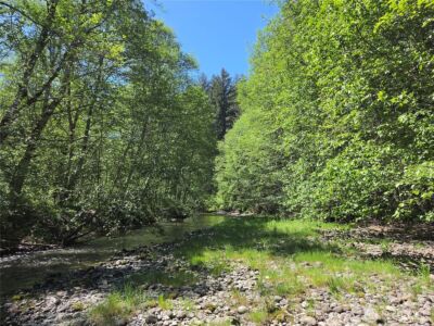 123 Campfire Lane , Packwood, WA 98361 - Photo 19