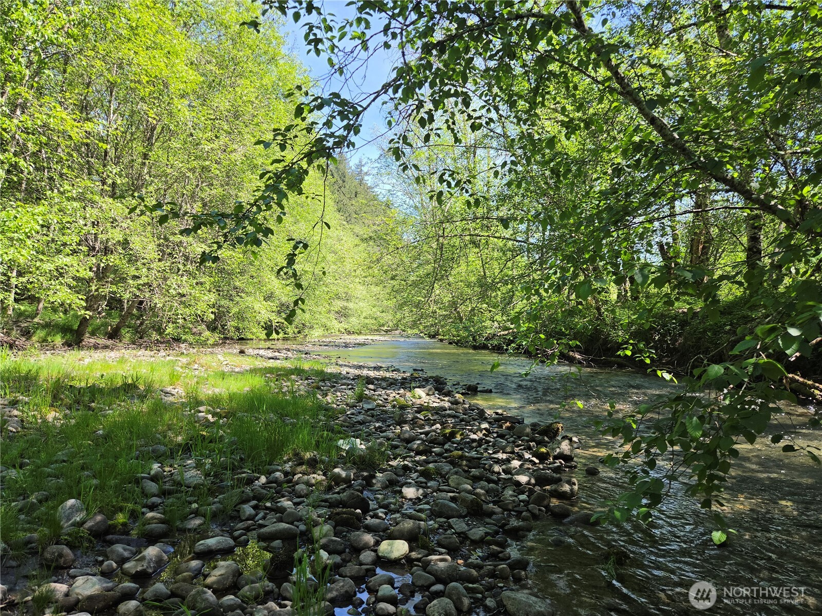 123 Campfire Lane , Packwood, WA 98361
