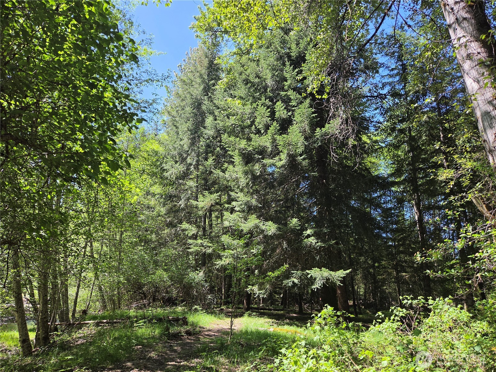 123 Campfire Lane , Packwood, WA 98361