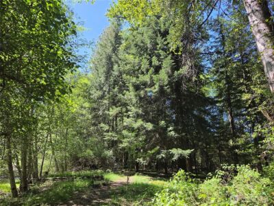 123 Campfire Lane , Packwood, WA 98361 - Photo 23