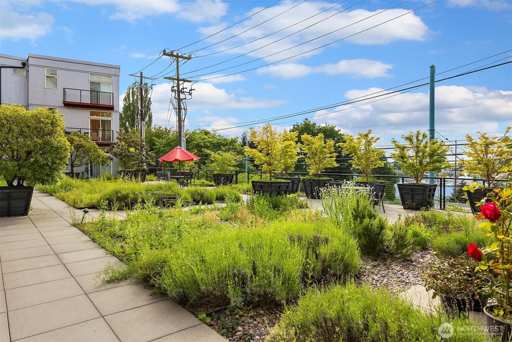 2960 Eastlake Avenue E #213, Seattle, WA 98102