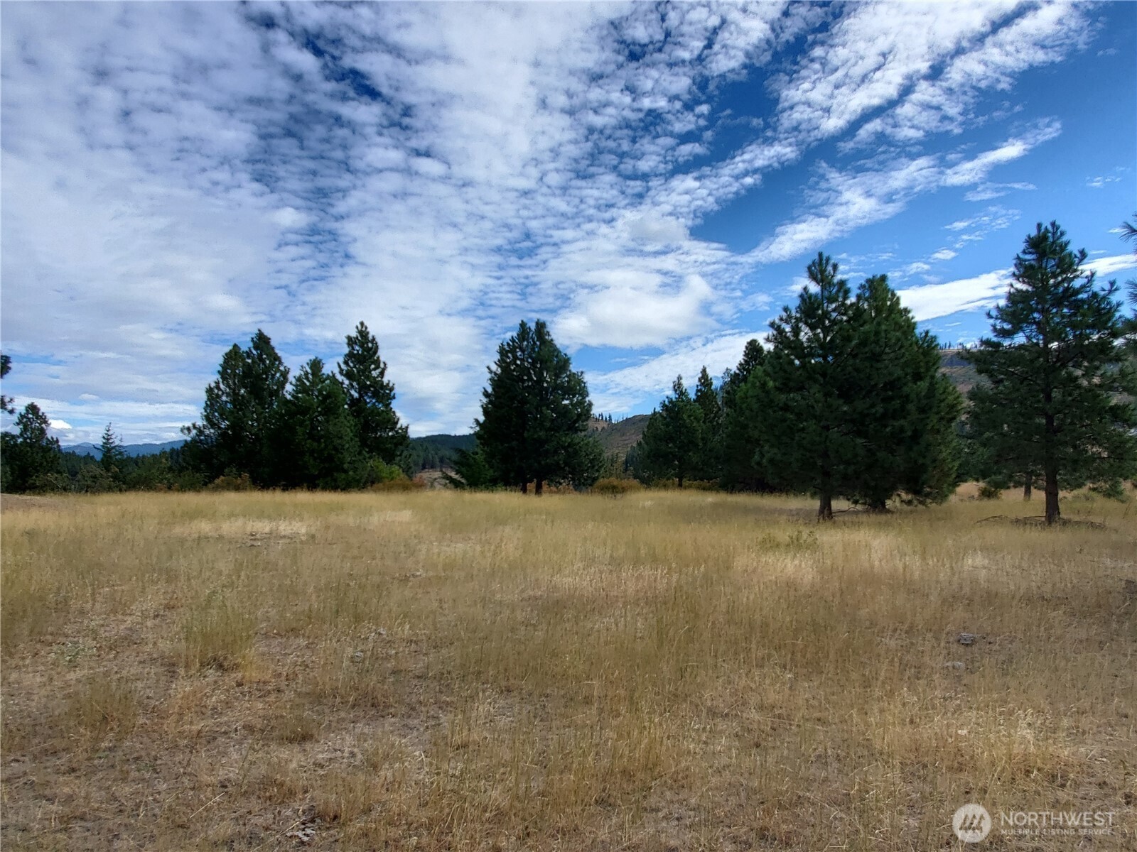 7 Summit View at Wallace Ranch , Cle Elum, WA 98922