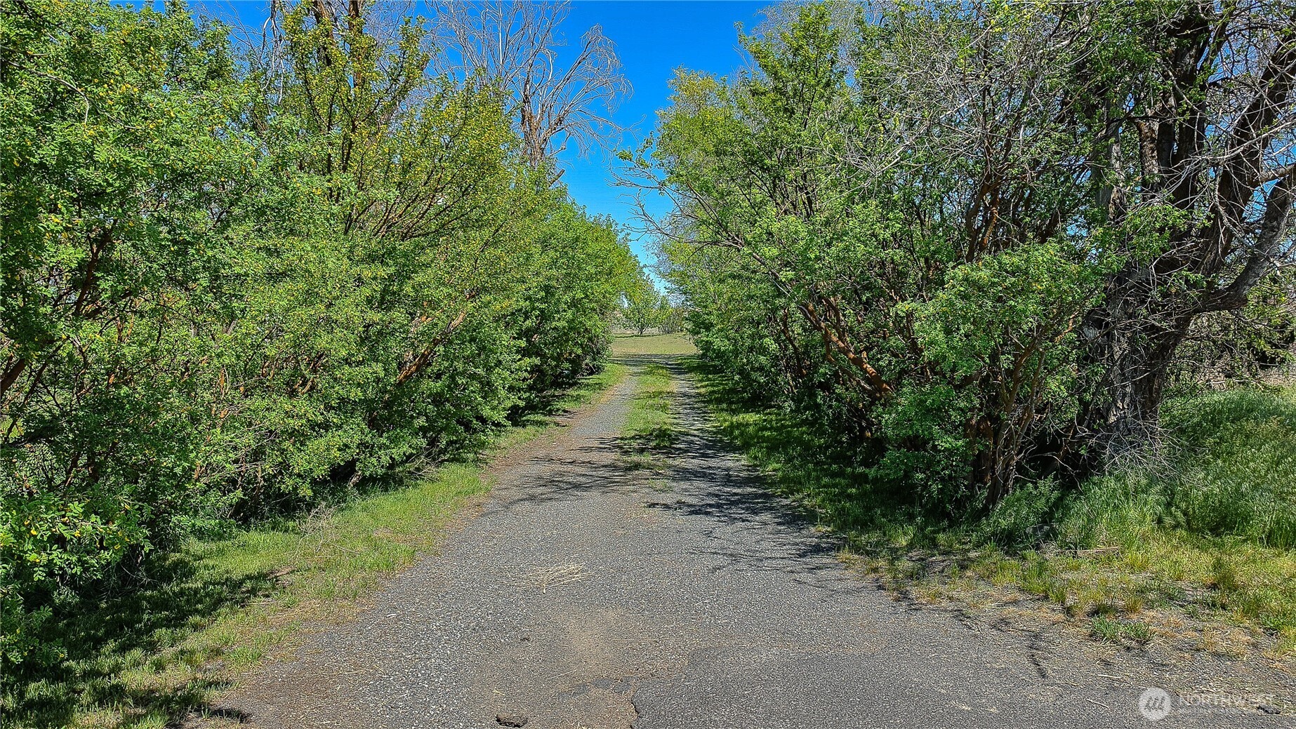 16525 US Hwy 2 , Waterville, WA 98858