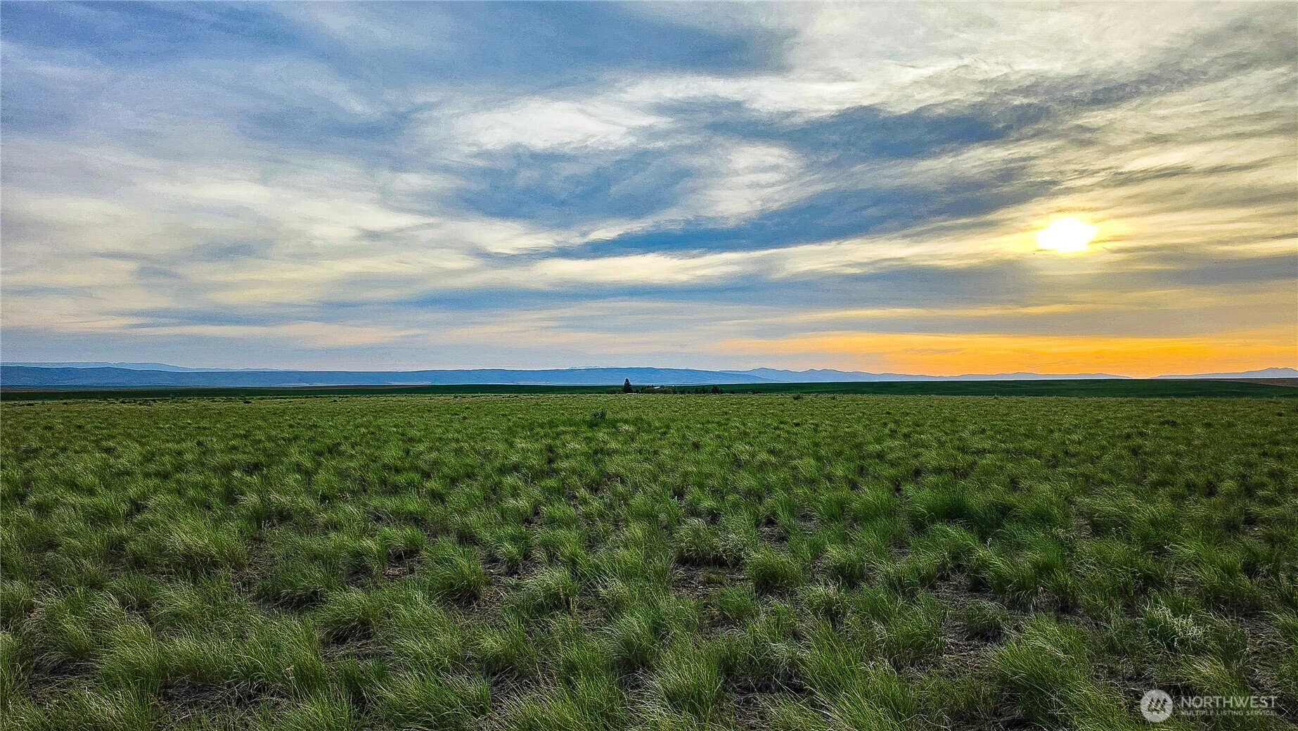 16525 US Hwy 2 , Waterville, WA 98858
