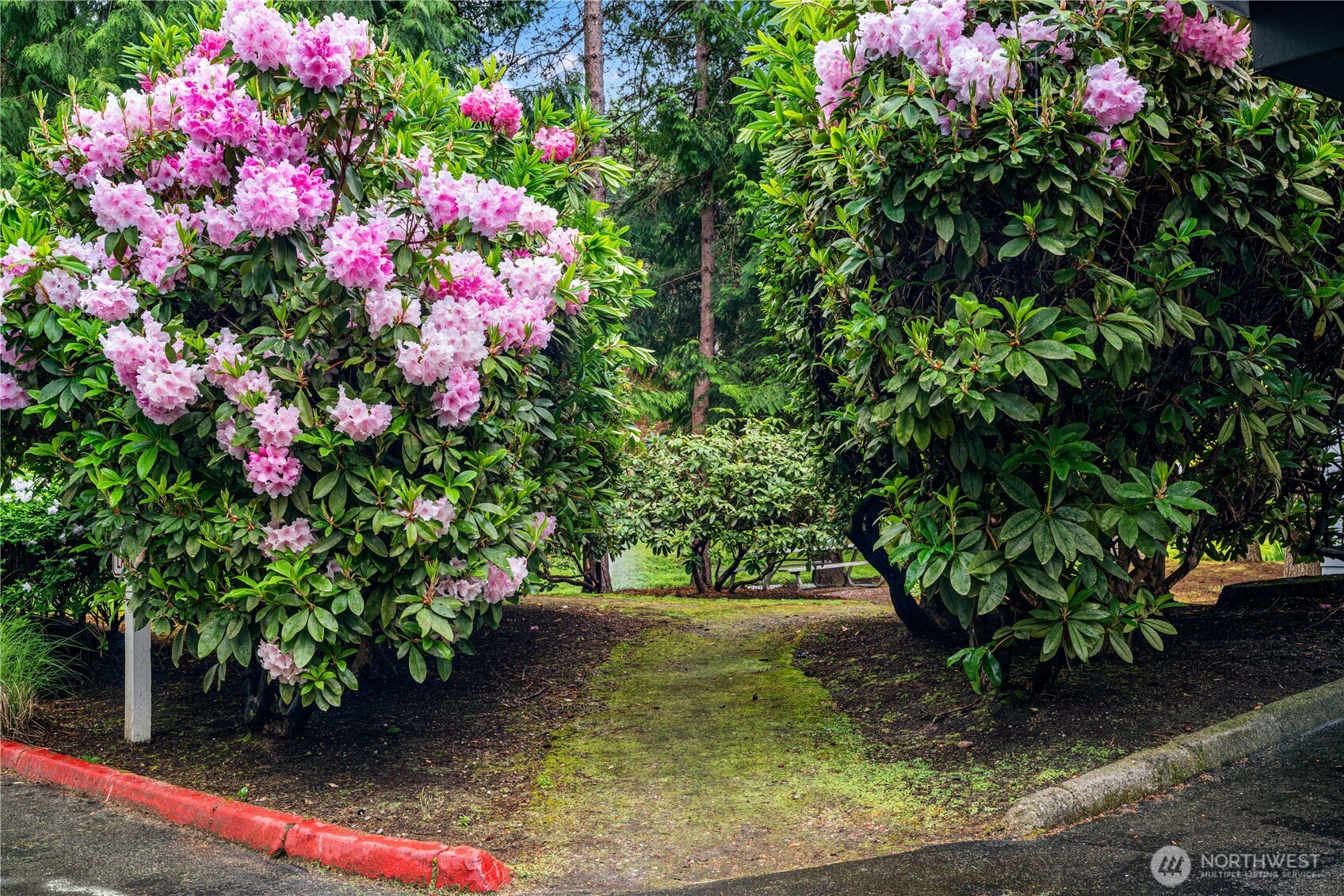 12618 100th Lane NE #J248, Kirkland, WA 98034