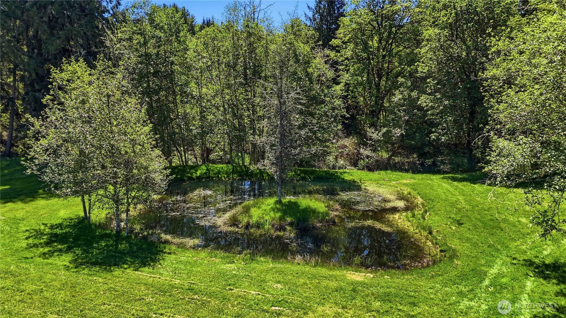 359 Frank Smith Road , Toutle, WA 98649