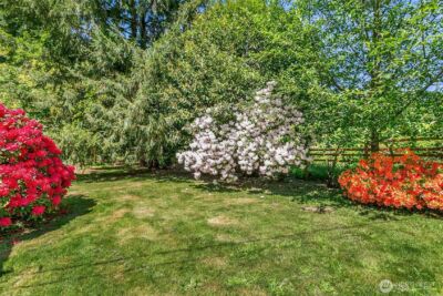 1909 Division Street NW, Olympia, WA 98502 - Photo 29