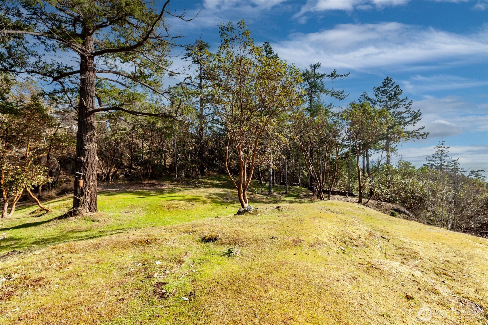 7 Spinnaker Lane , Friday Harbor, WA 98250