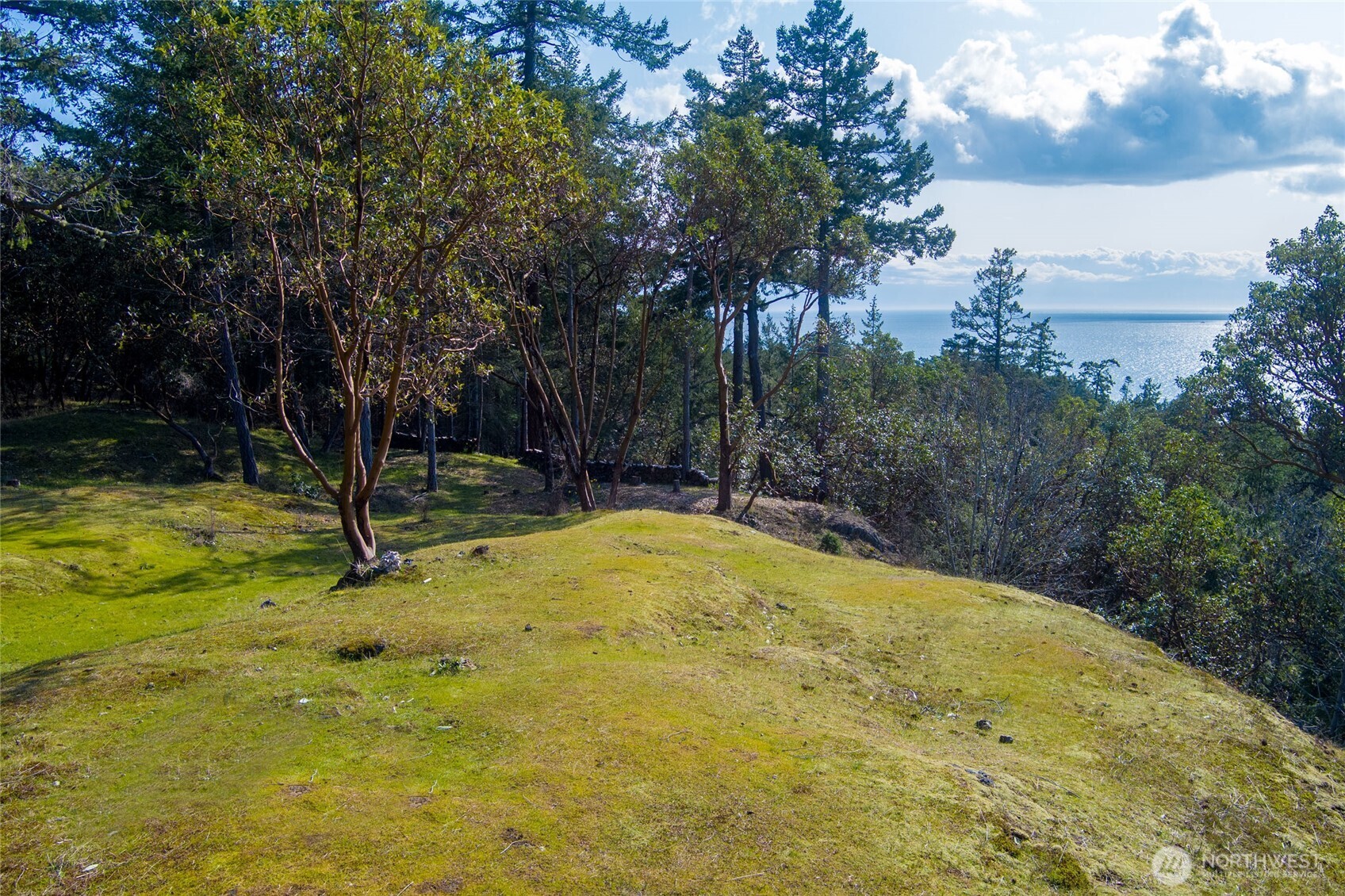 7 Spinnaker Lane , Friday Harbor, WA 98250