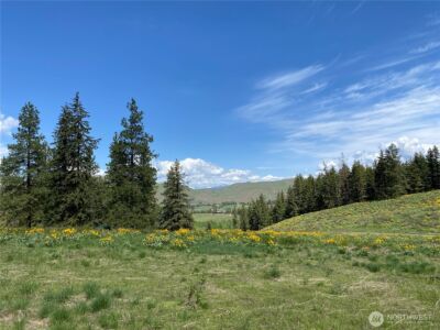 102 Elbow Canyon Road , Twisp, WA 98856