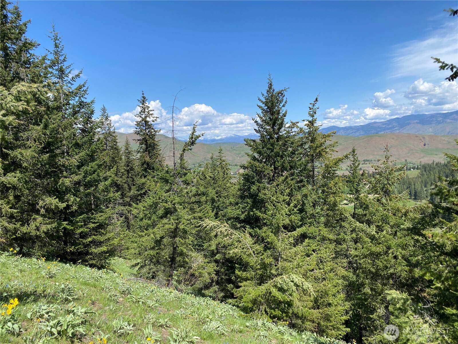 102 Elbow Canyon Road , Twisp, WA 98856