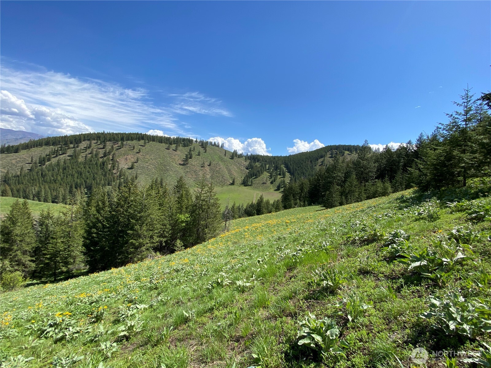 102 Elbow Canyon Road , Twisp, WA 98856