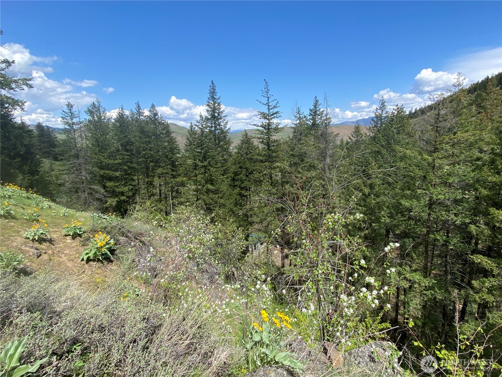 102 Elbow Canyon Road , Twisp, WA 98856