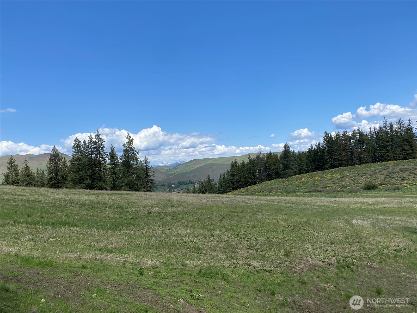 102 Elbow Canyon Road , Twisp, WA 98856