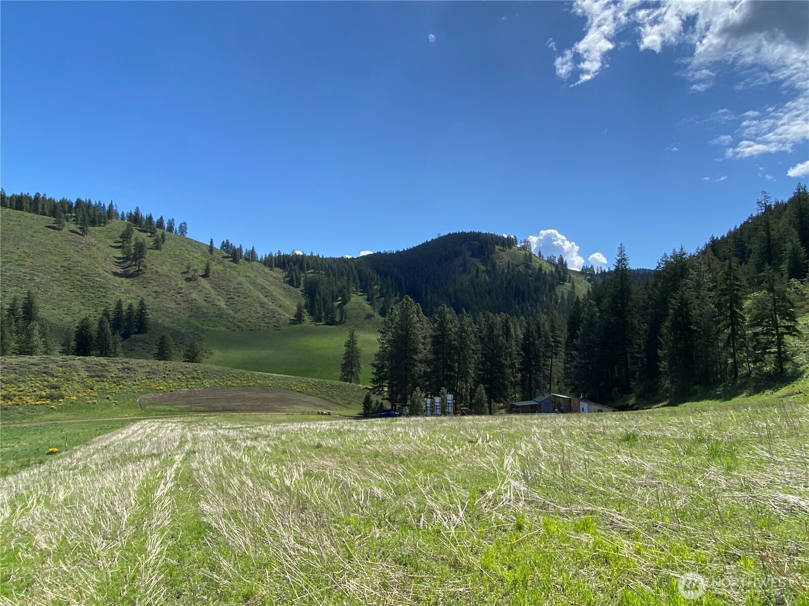 102 Elbow Canyon Road , Twisp, WA 98856