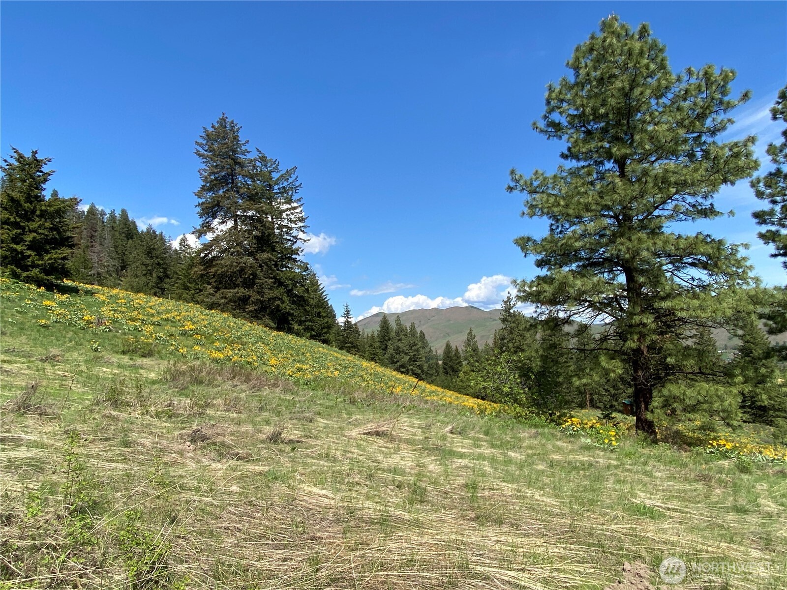 102 Elbow Canyon Road , Twisp, WA 98856