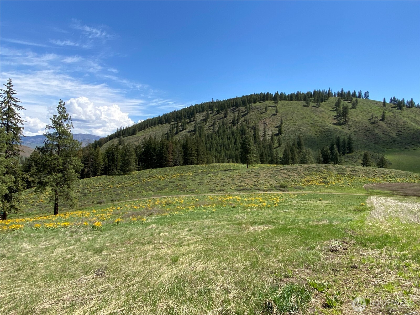 102 Elbow Canyon Road , Twisp, WA 98856