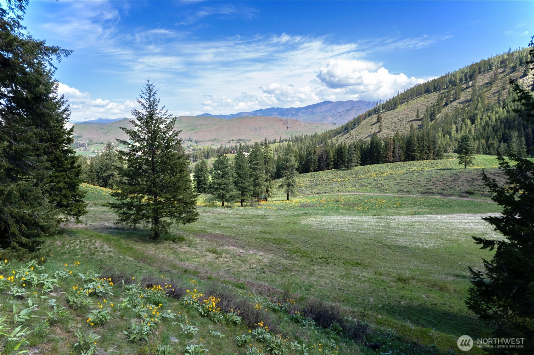 102 Elbow Canyon Road , Twisp, WA 98856