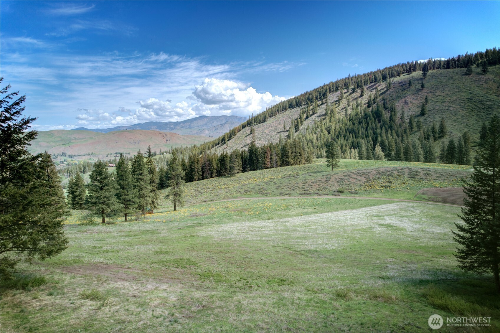 102 Elbow Canyon Road , Twisp, WA 98856