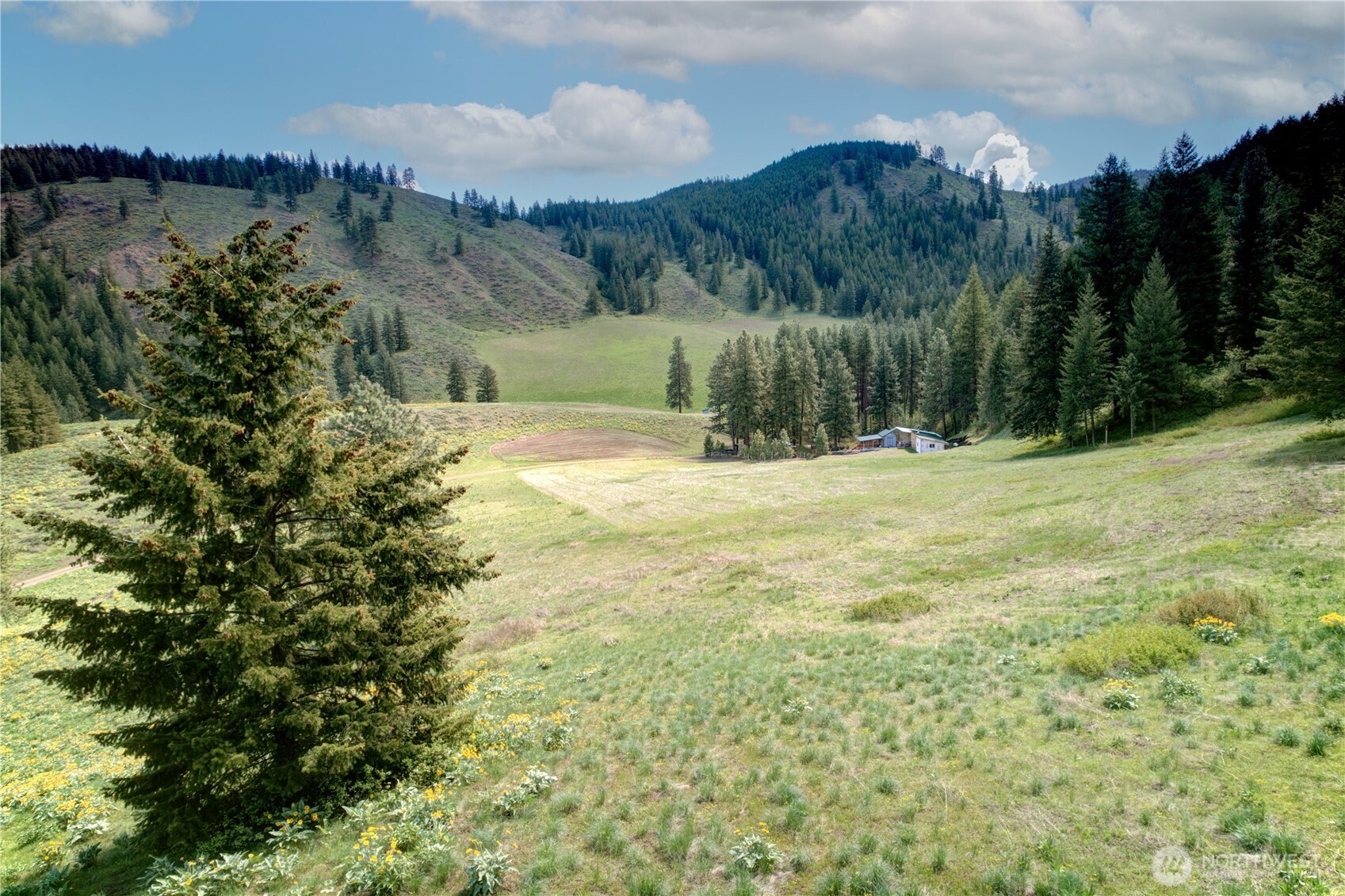 102 Elbow Canyon Road , Twisp, WA 98856