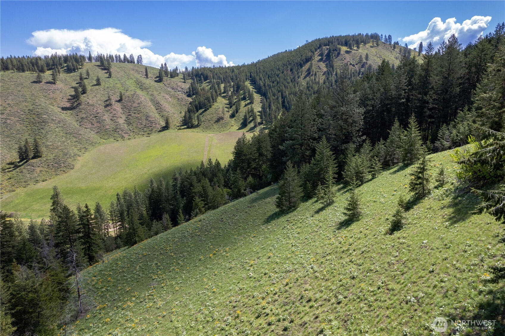 102 Elbow Canyon Road , Twisp, WA 98856