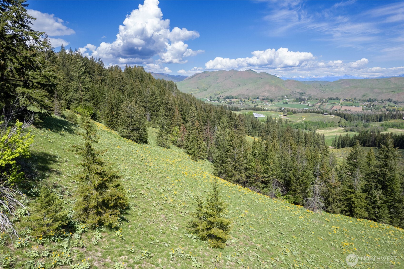 102 Elbow Canyon Road , Twisp, WA 98856