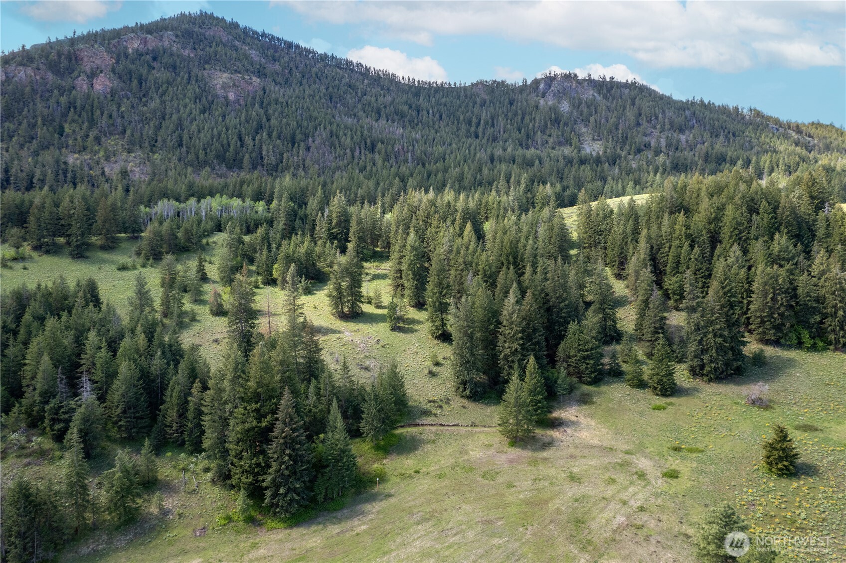 102 Elbow Canyon Road , Twisp, WA 98856