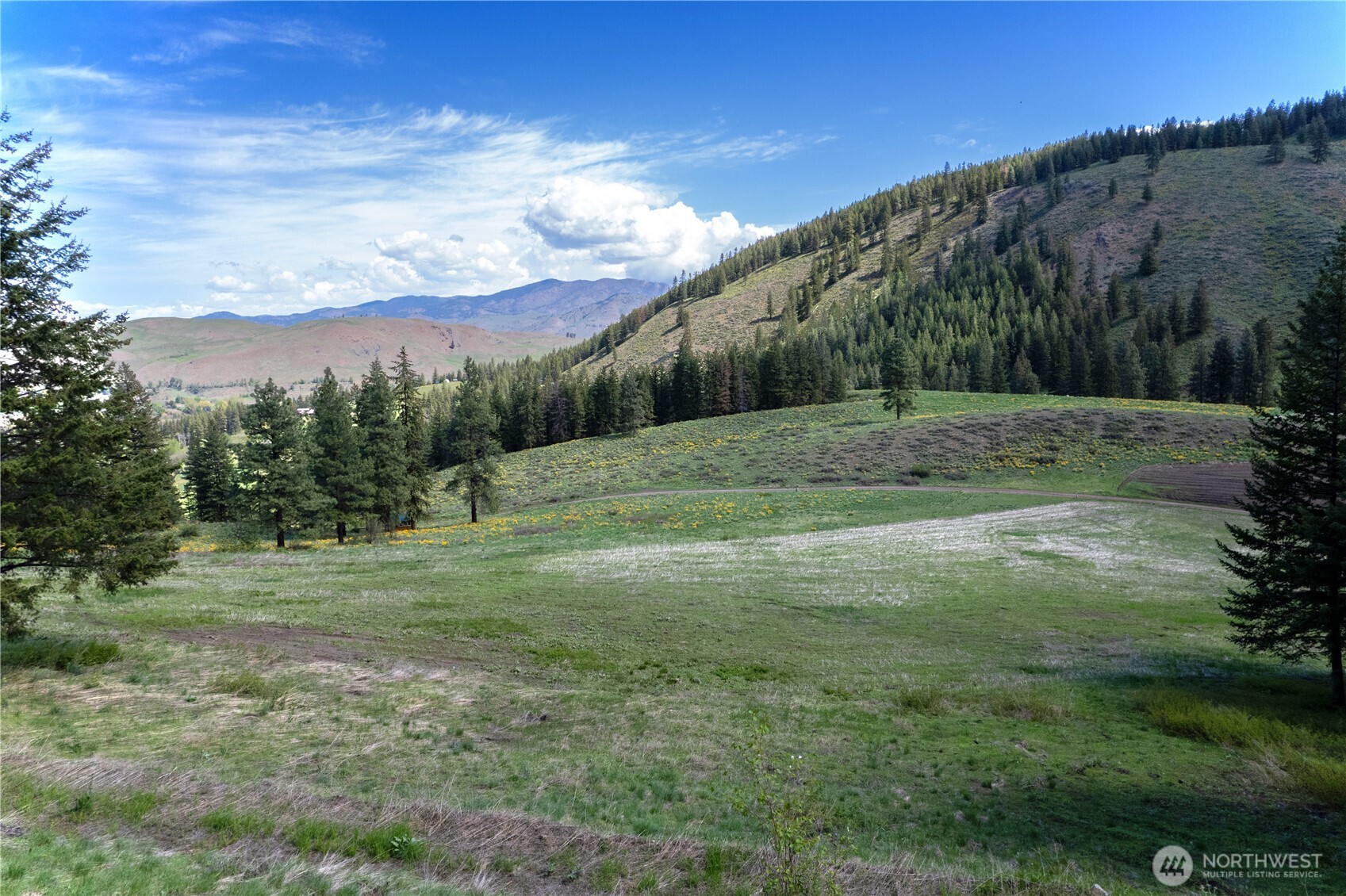 102 Elbow Canyon Road , Twisp, WA 98856