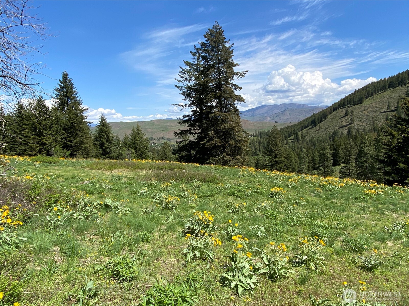 102 Elbow Canyon Road , Twisp, WA 98856