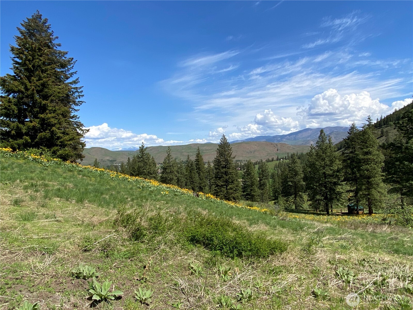 102 Elbow Canyon Road , Twisp, WA 98856