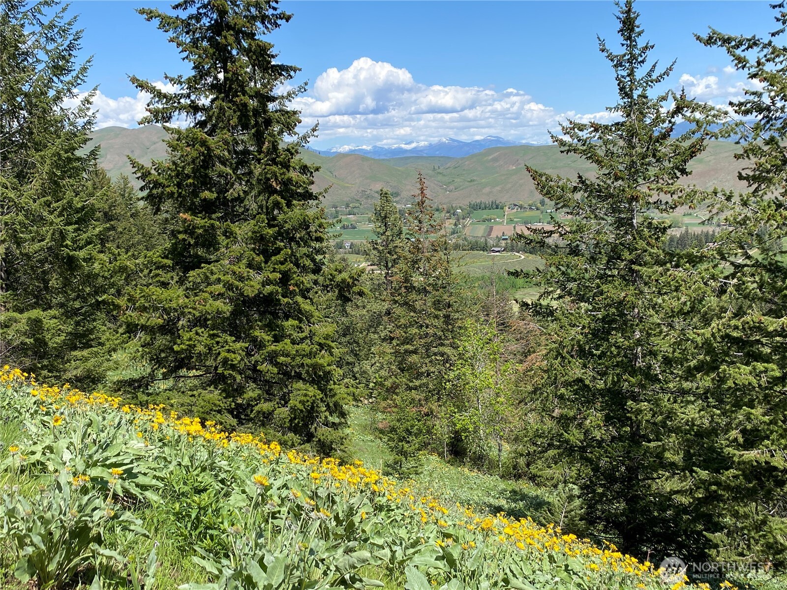 102 Elbow Canyon Road , Twisp, WA 98856