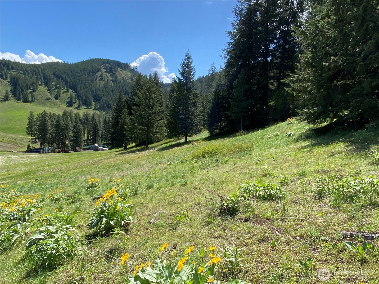 102 Elbow Canyon Road , Twisp, WA 98856