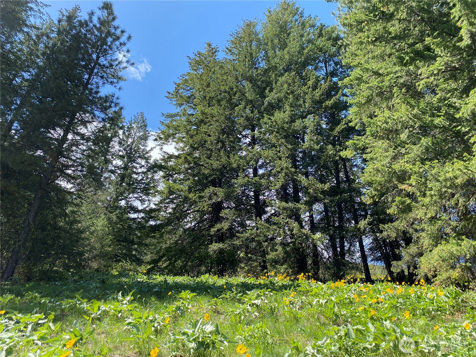 102 Elbow Canyon Road , Twisp, WA 98856