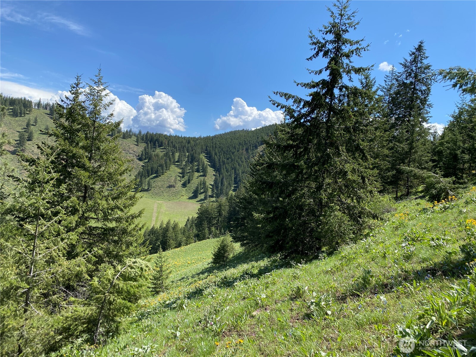 102 Elbow Canyon Road , Twisp, WA 98856