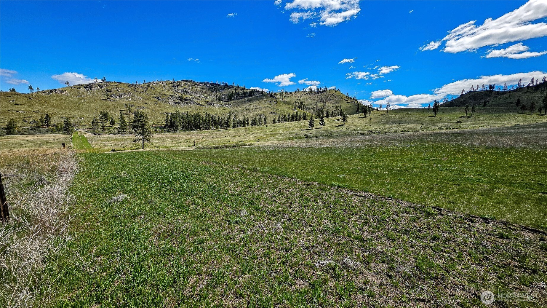 1 Washington Creek Road , Chelan, WA 98816
