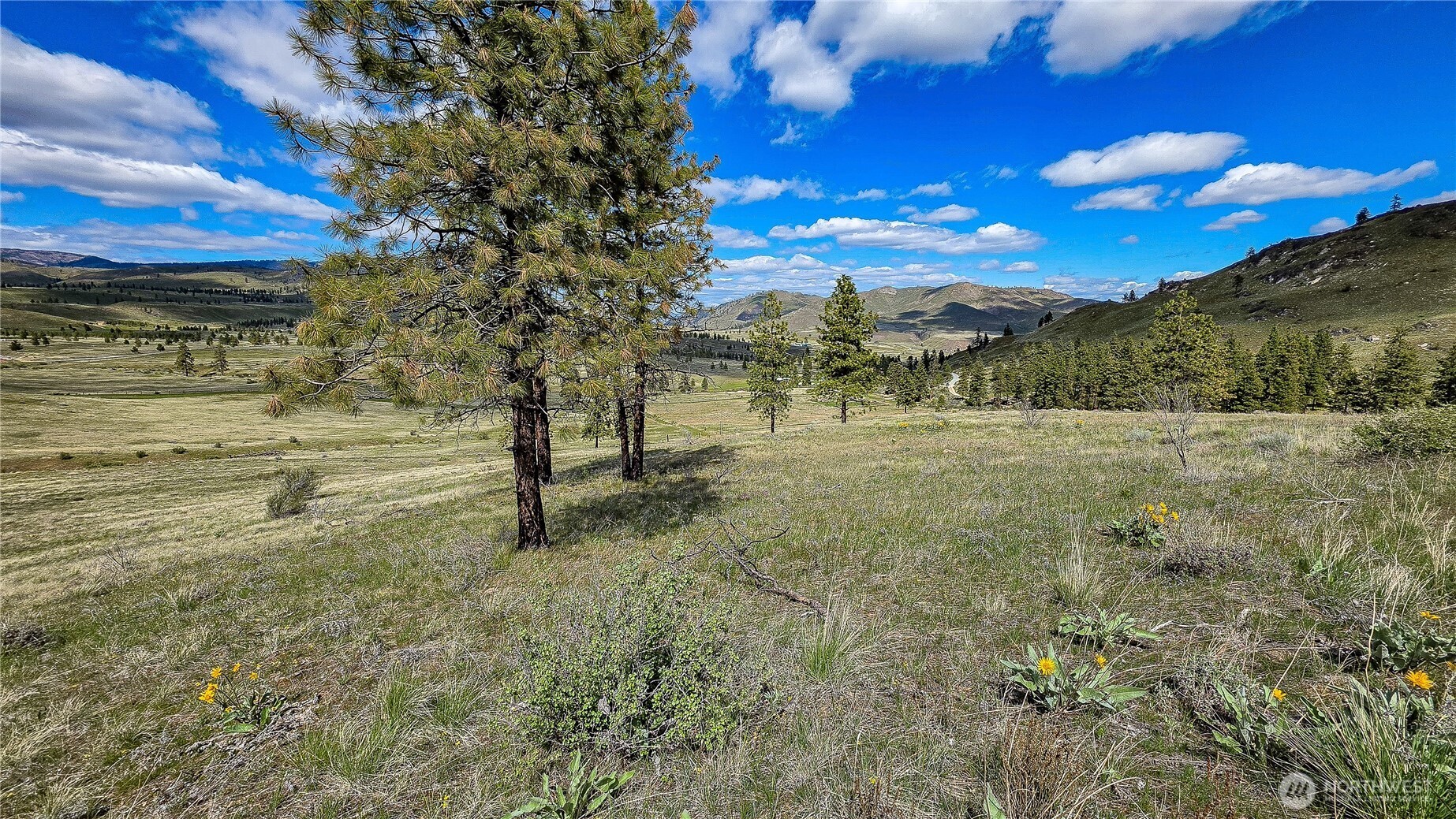 1 Washington Creek Road , Chelan, WA 98816
