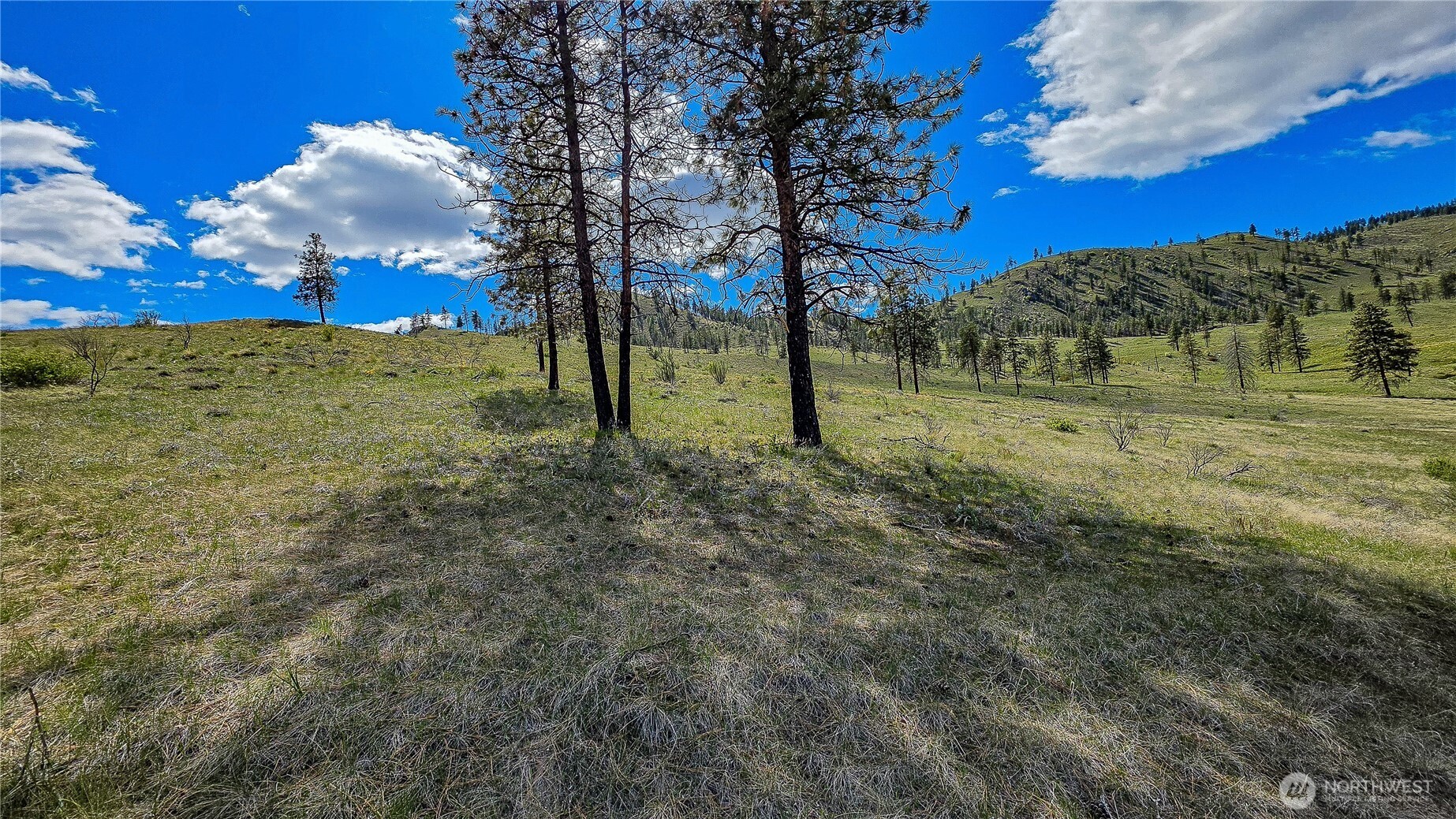 1 Washington Creek Road , Chelan, WA 98816