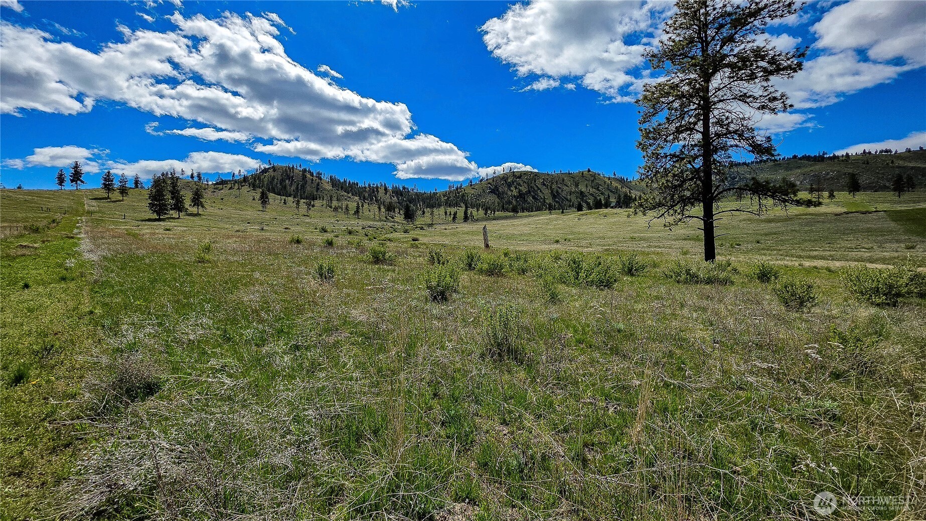 1 Washington Creek Road , Chelan, WA 98816