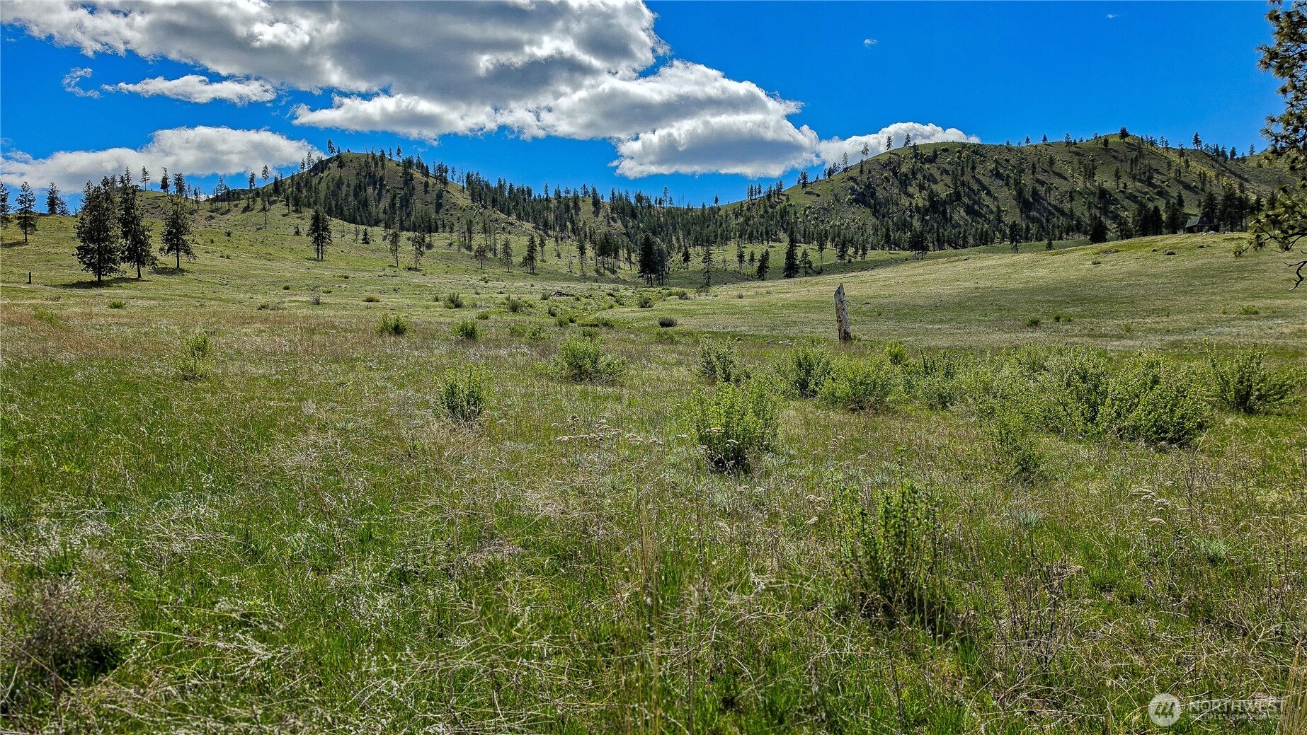1 Washington Creek Road , Chelan, WA 98816
