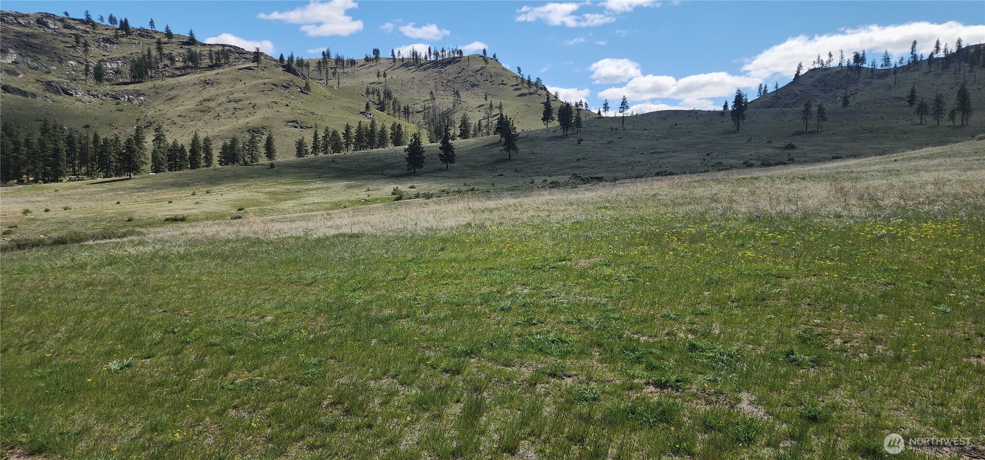 1 Washington Creek Road , Chelan, WA 98816